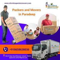 Professional Packers and Movers in Paradeep