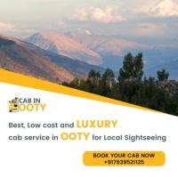 taxi in ooty