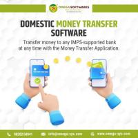 Domestic Money Transfer Software