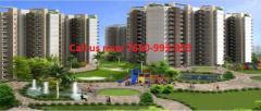 2 BHK Flat for Sale in Sector 37C Gurgaon @ 7650993993