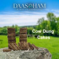 Cow Dung Cakes In Vizag