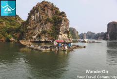 "Vietnam Tour Packages: Unforgettable Adventures Await!"