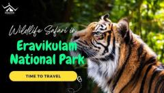 Discover Kerala's Charms: Eravikulam & Beyond