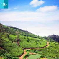 Discover Sri Lanka: Tailored Tour Packages for an Unforgettable Travel Experience