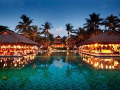 Top 50 Tour Packages in Bali