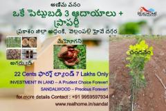 22 cents Sandalwood Plantation Plots in Addanki,Prakasam district for 7 lakhs