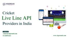 Cricket Live Line API Provider in India - Vigorous IT Solutions