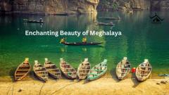 Discover the Enchanting Beauty of Meghalaya: A 7-Day Adventure with Wanderon