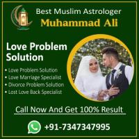 Love Problem Solution  +91-7347347995
