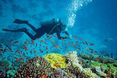 Andaman Tour Packages – Andaman Tour Travel Packages