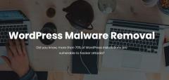 WordPress Malware Removal - Fix Malware WordPress