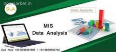 Best MIS Training Course Provider Institute in Delhi, Ghaziabad & Noida - SLA Consultants Delhi