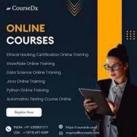 Snowflake online training in usa