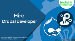 Hire Drupal Developers