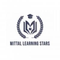 Mittal Learning Stars - Online Maths Tutor